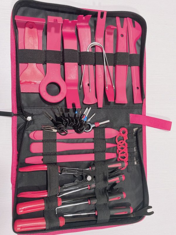 Top-down view of the 48-piece master kit laid out, showcasing the pink tools, metal pry bars, airbag pullers, and precision pins in the black zippered bag.